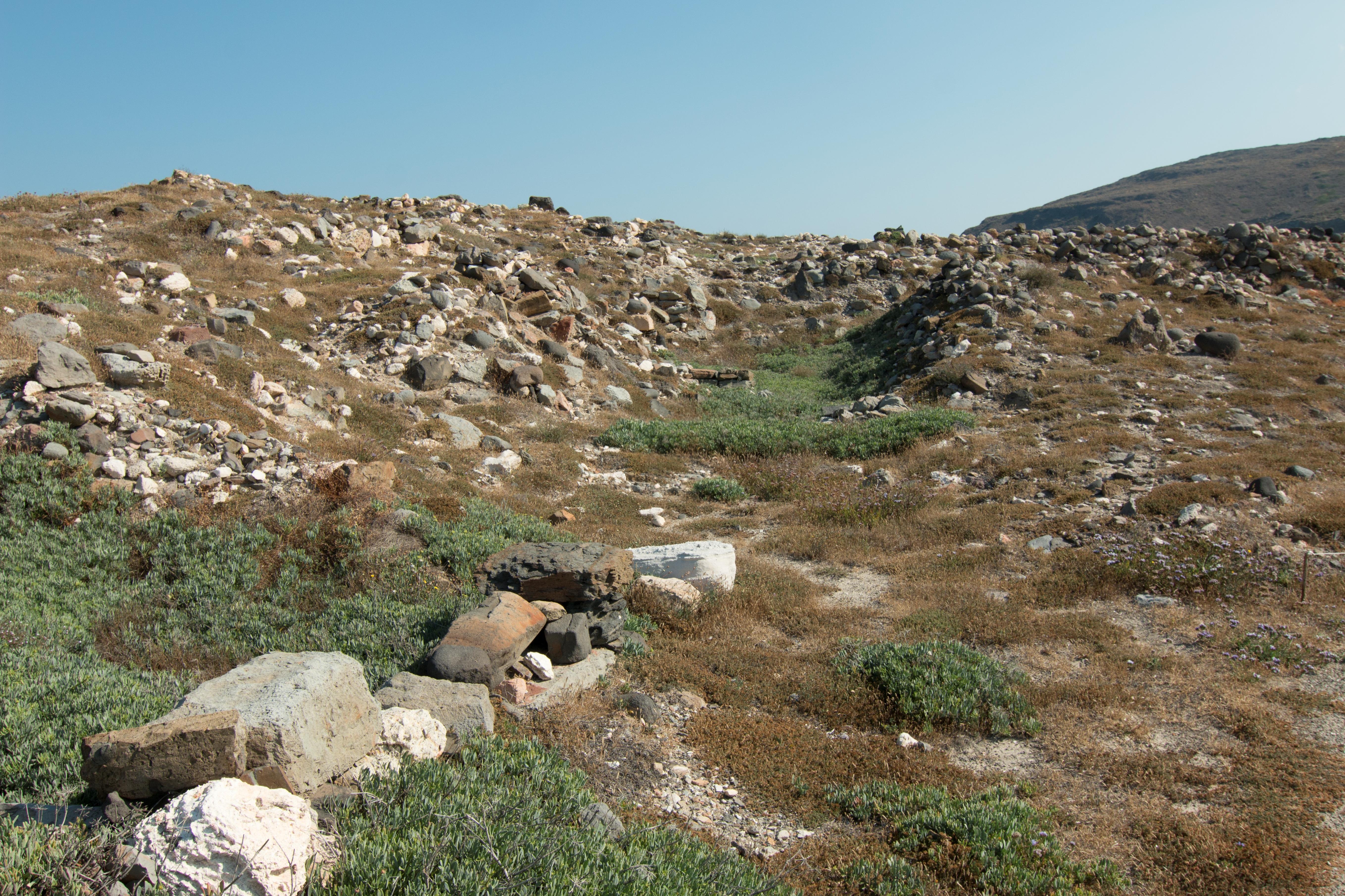 Φυλακωπή